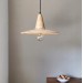 Ceiling lighting with schoolhouse style Hallway lamp |GaffDesign