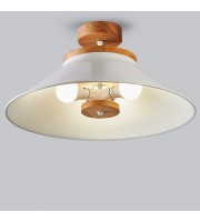 Big ceiling light with schoolhouse style Hallway lamp