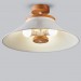 Big ceiling light with schoolhouse style Hallway lamp