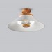 Big ceiling light with schoolhouse style Hallway lamp