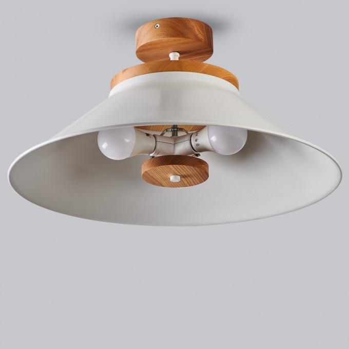 Big ceiling light with schoolhouse style Hallway lamp
