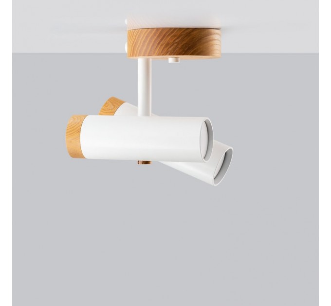 Сeiling light Industrial lighting for bathroom |GaffDesign
