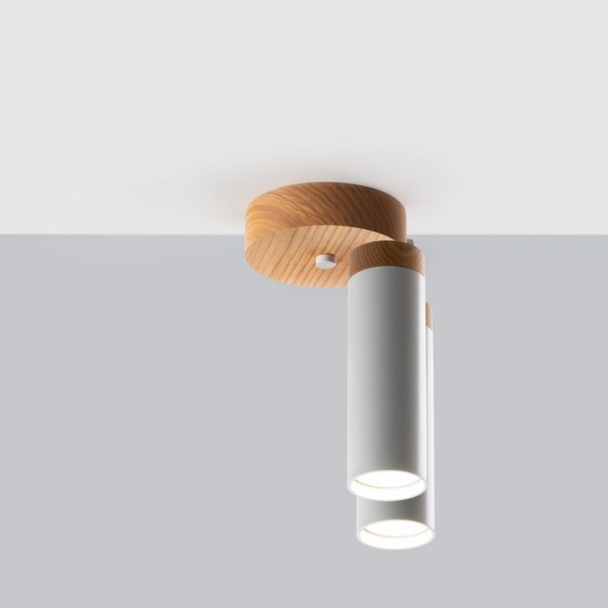 Сeiling light Industrial lighting for bathroom