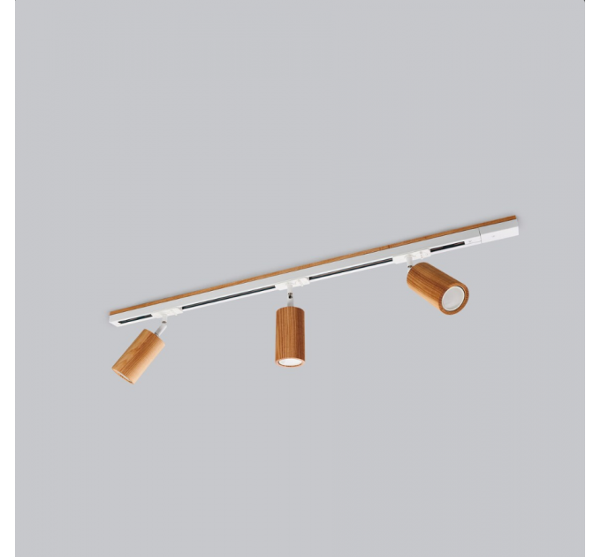 Track lighting Custom Industrial track light Minimalist